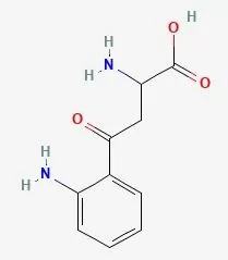 The molecular structure of kynurenine (image adapted from PubChem)